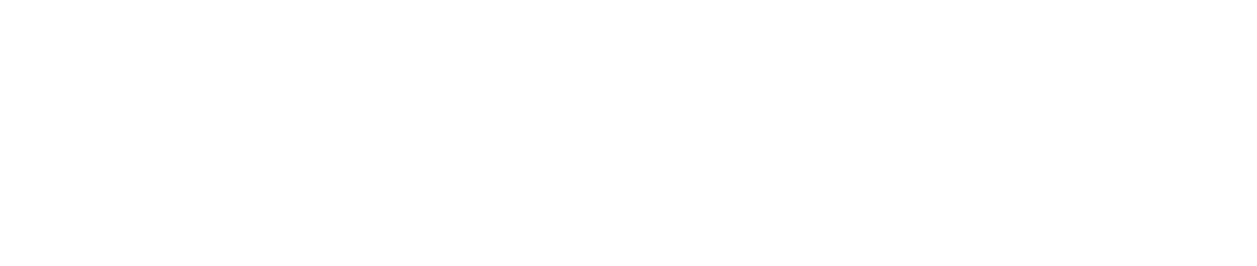 Academy Sports